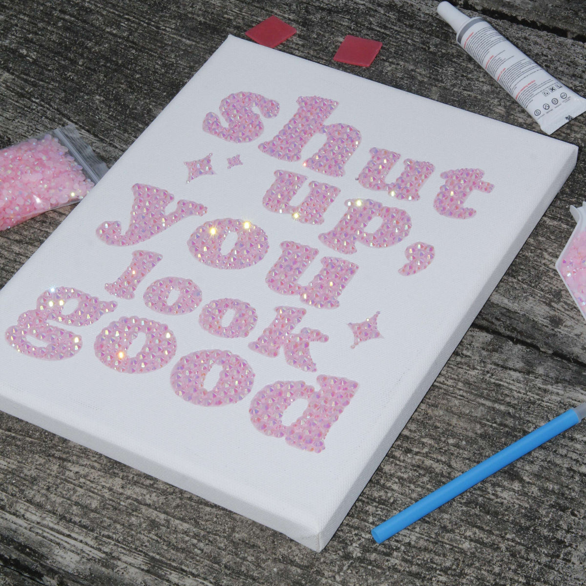 Shut Up, You Look Good DIY Kit