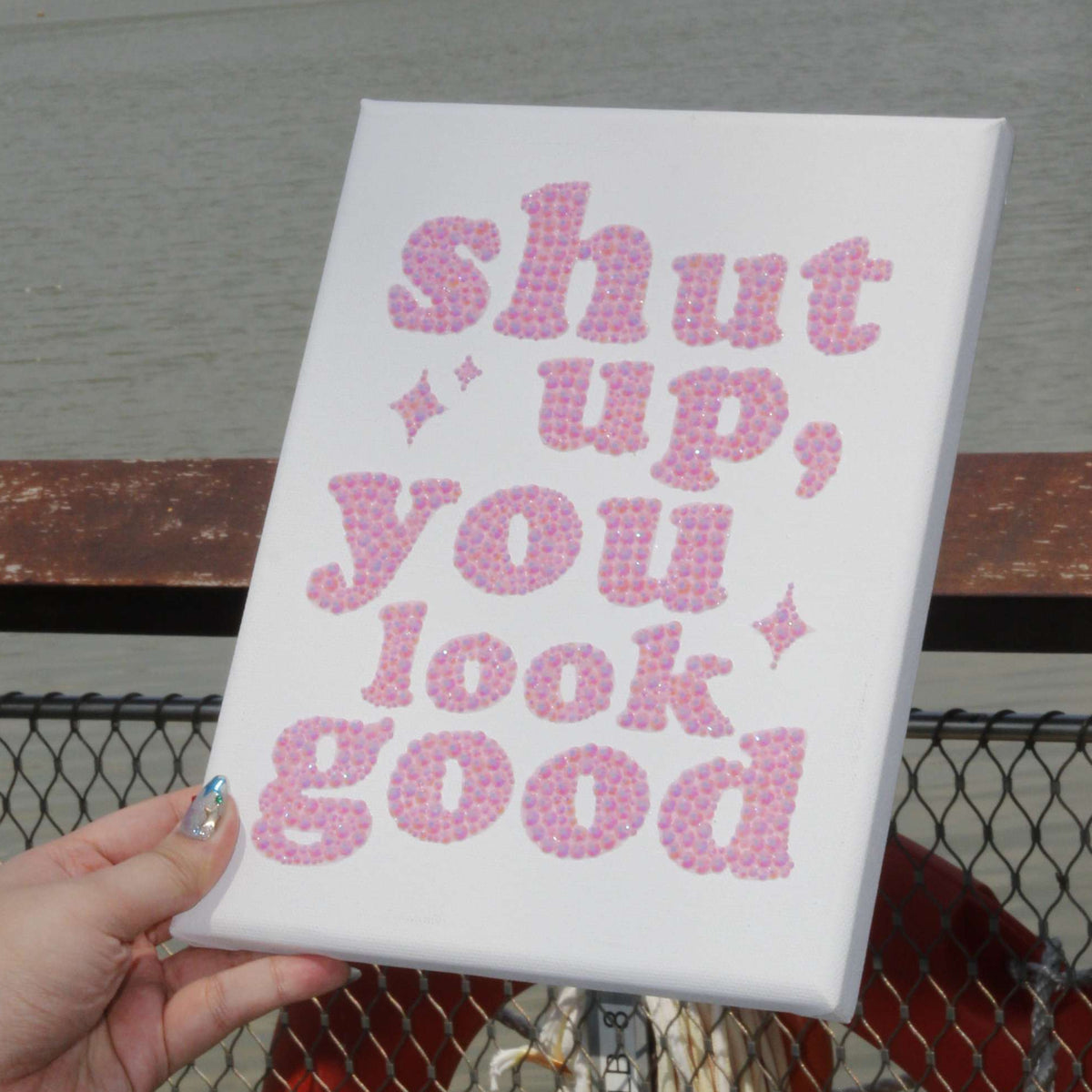 Shut Up, You Look Good DIY Kit