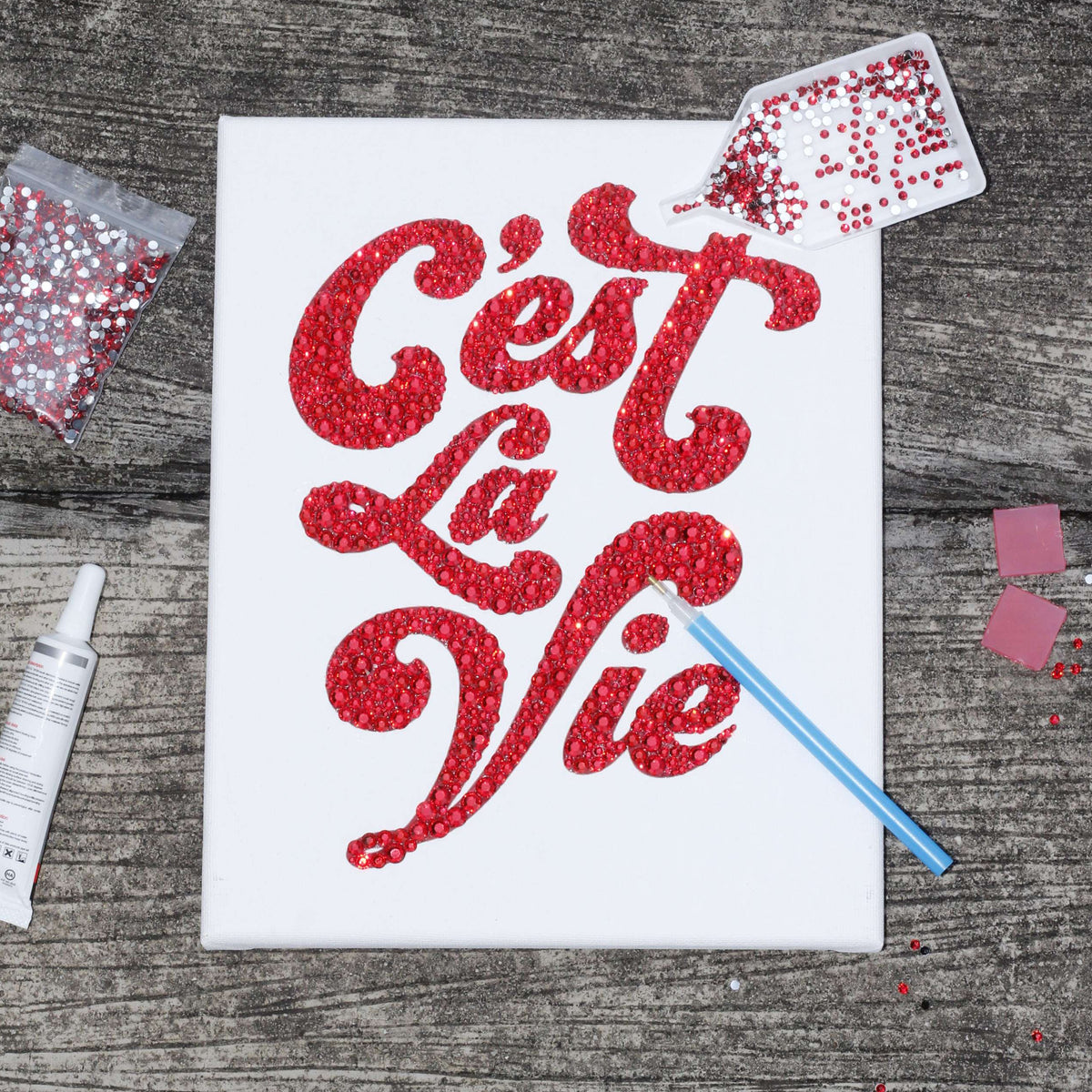 C'est La Vie DIY Kit