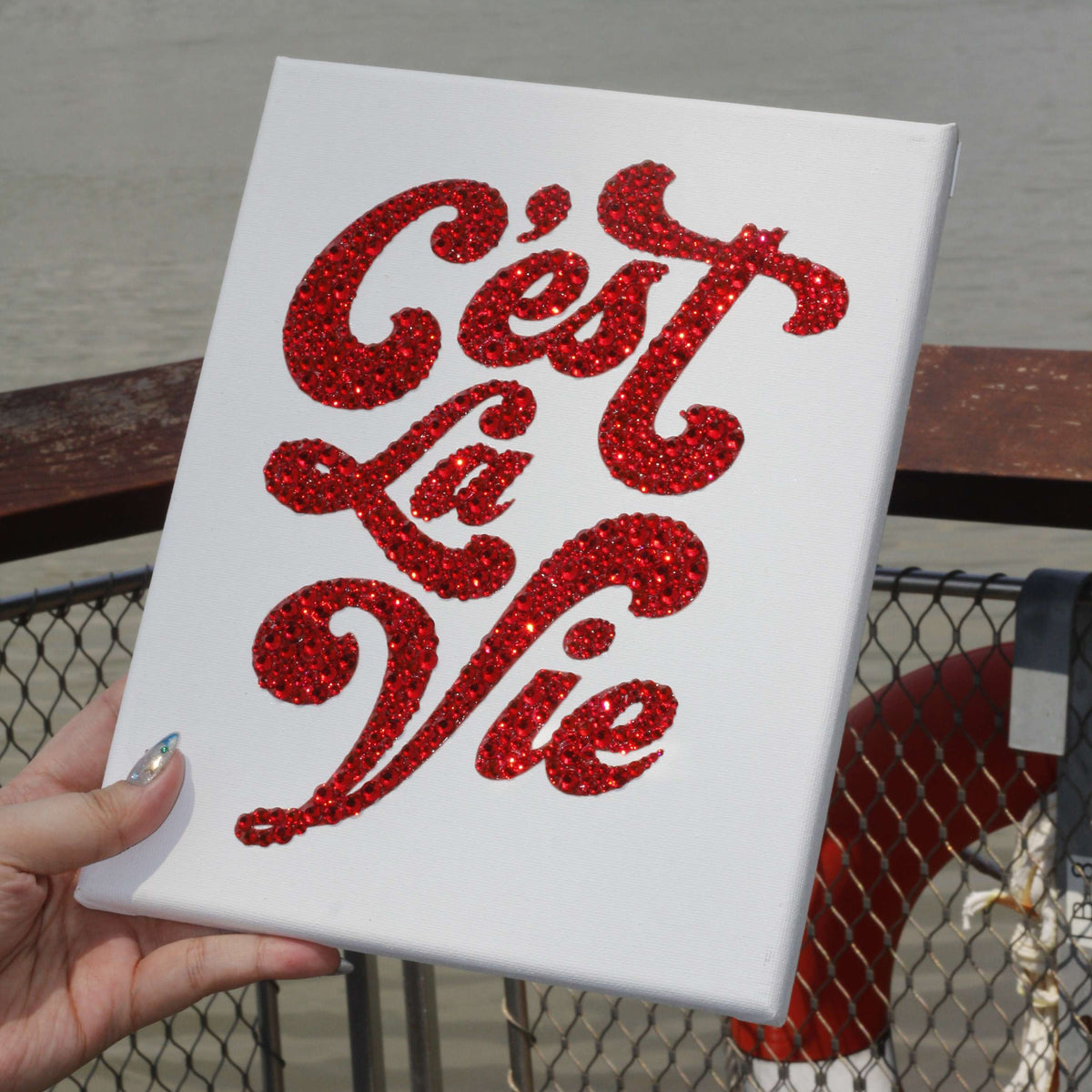 C'est La Vie DIY Kit